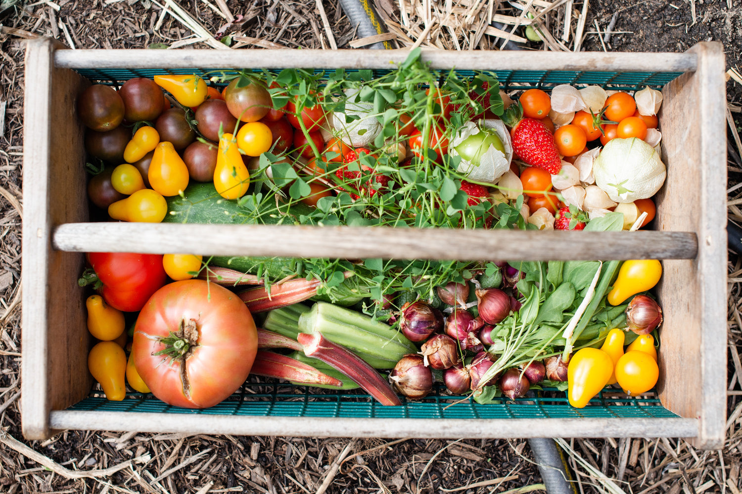 a wooden basket full local sustainably sourced fruit and vegetables