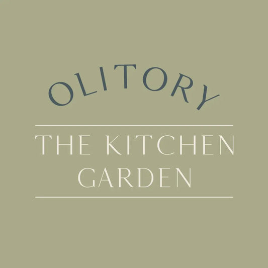 Journey Through Flavours: Exploring the Cultural Origins of Our Handcrafted Pierogi - olitory