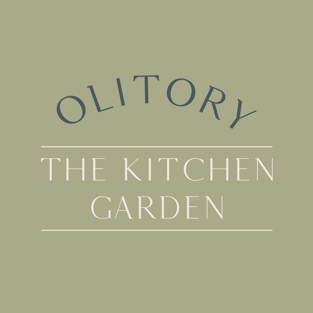 Kitchen Stories: Tales of Pierogi and the Stories They Hold - olitory