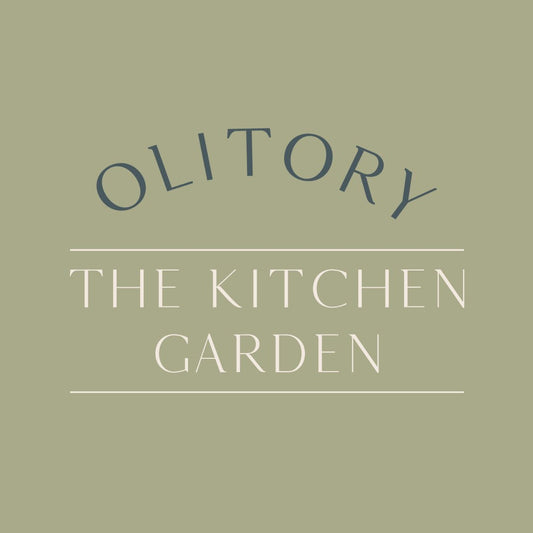 The Culinary Craftsmanship Behind Our Artisan Pierogi - olitory